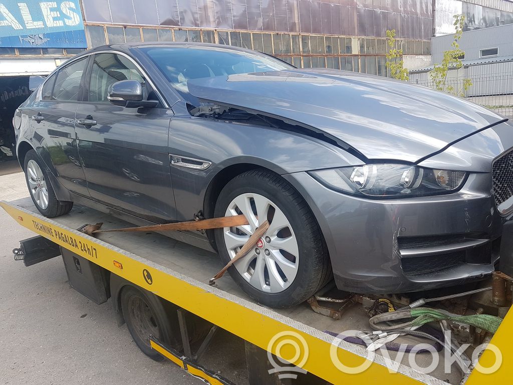 XE XE  T4N2634
