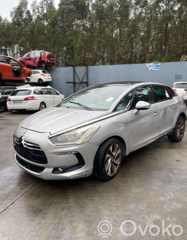 DS5 DS5