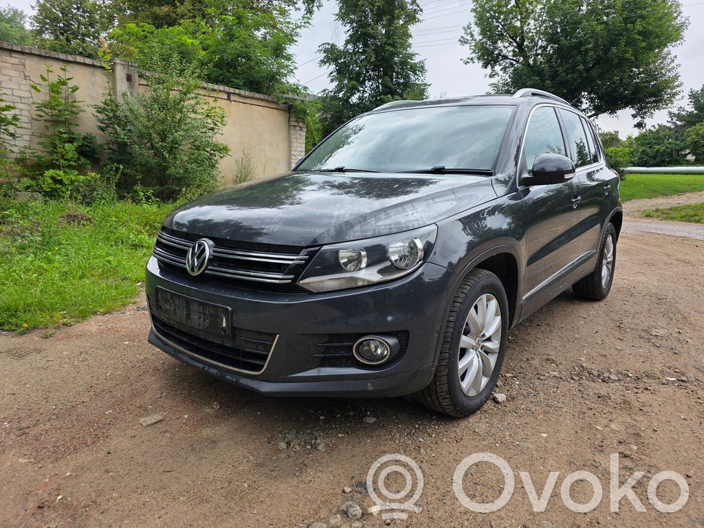 Tiguan Tiguan  080314