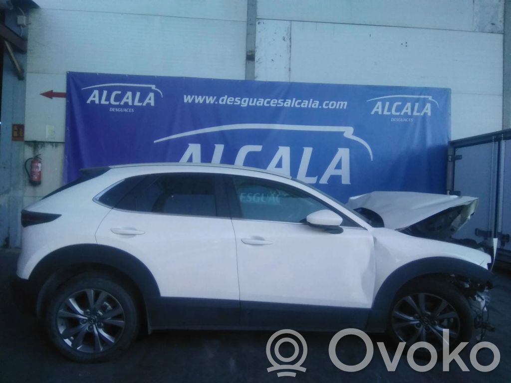 CX-30 CX-30  PAJ918881