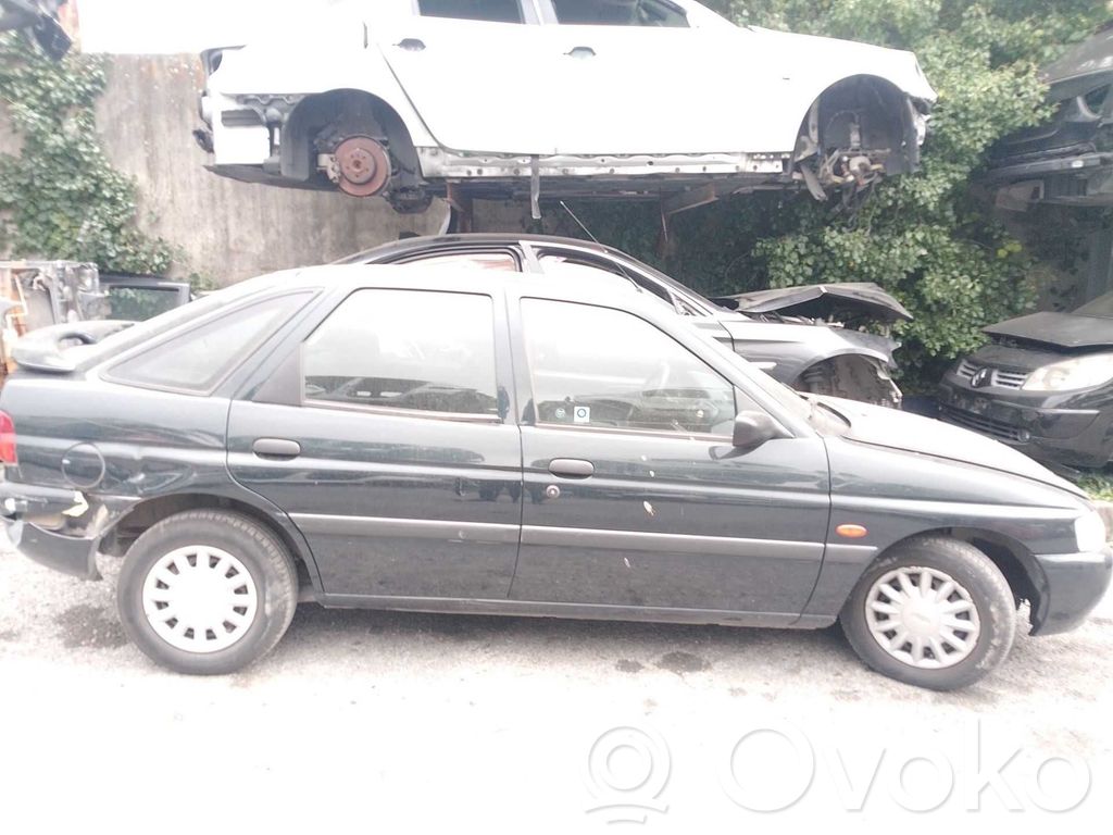 Escort Escort  95AB17762AEZCAT