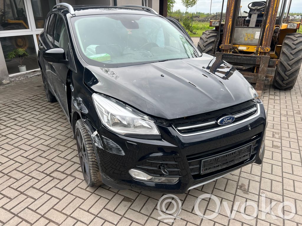 Kuga II Kuga