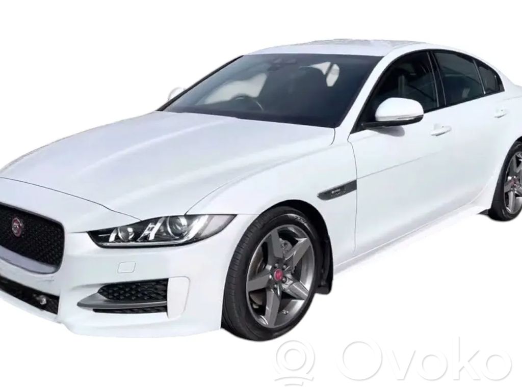 XE XE  YULONGWHITE