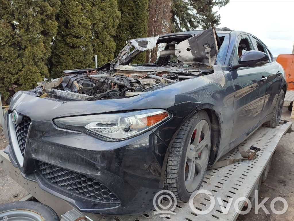 Giulia Giulia  50545196