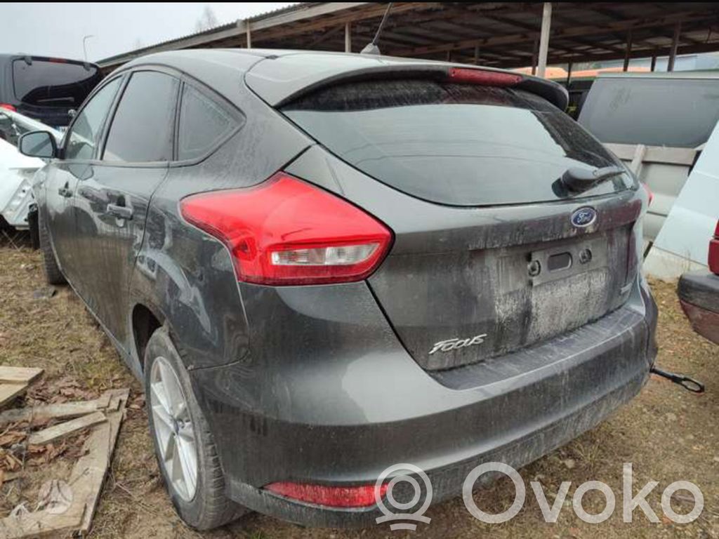 Focus Focus  DV612B195SD