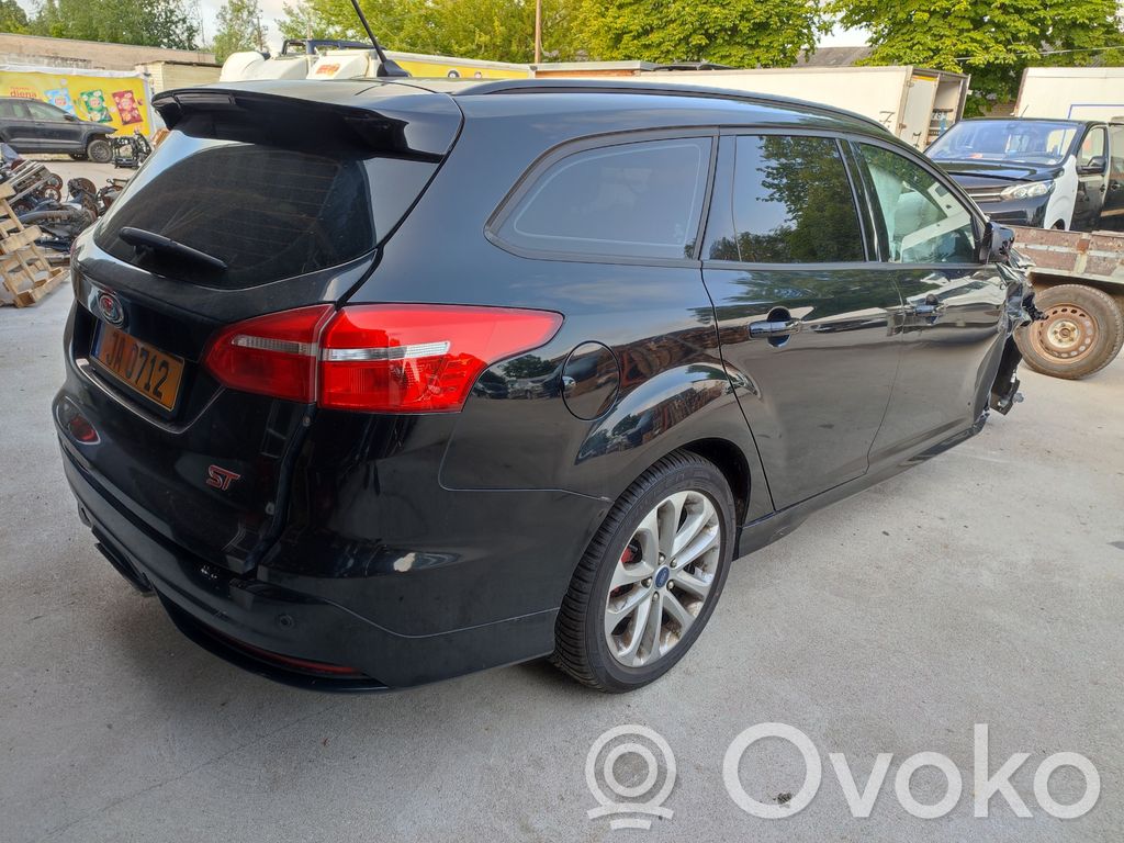 Focus Focus  1006536
