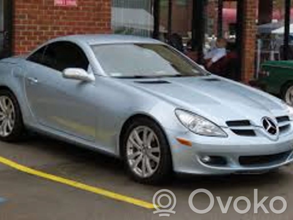 SLK R171 SLK-class, AMG (W170, W171, W172)  1712859901