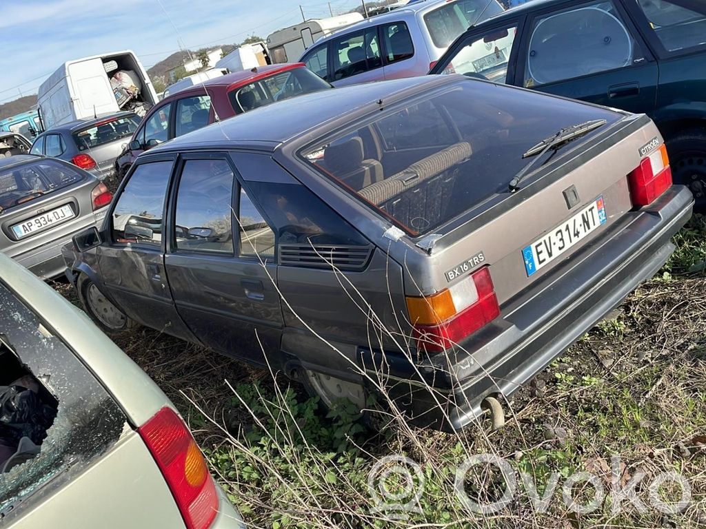BX BX