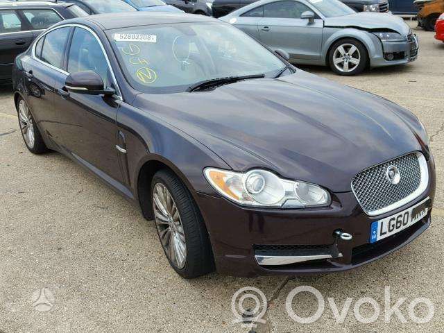 XF X250 XF  2R8A3F818AB
