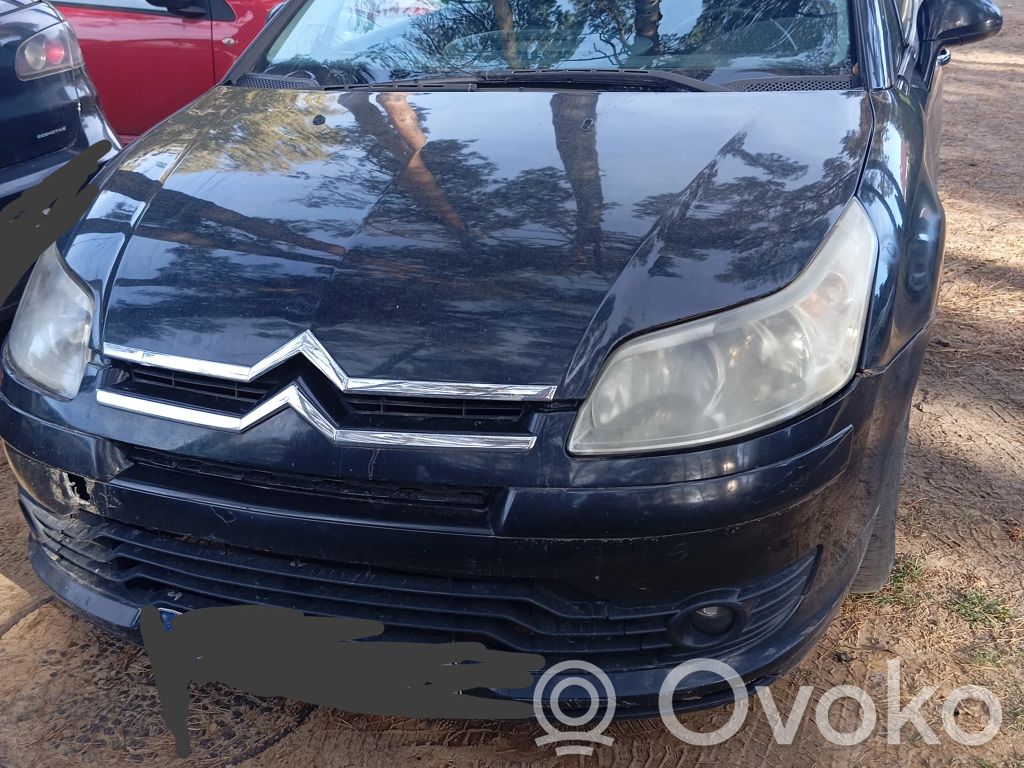 C4 I C4 Picasso, Grand Picasso, Aircross, Cactus  9645100680