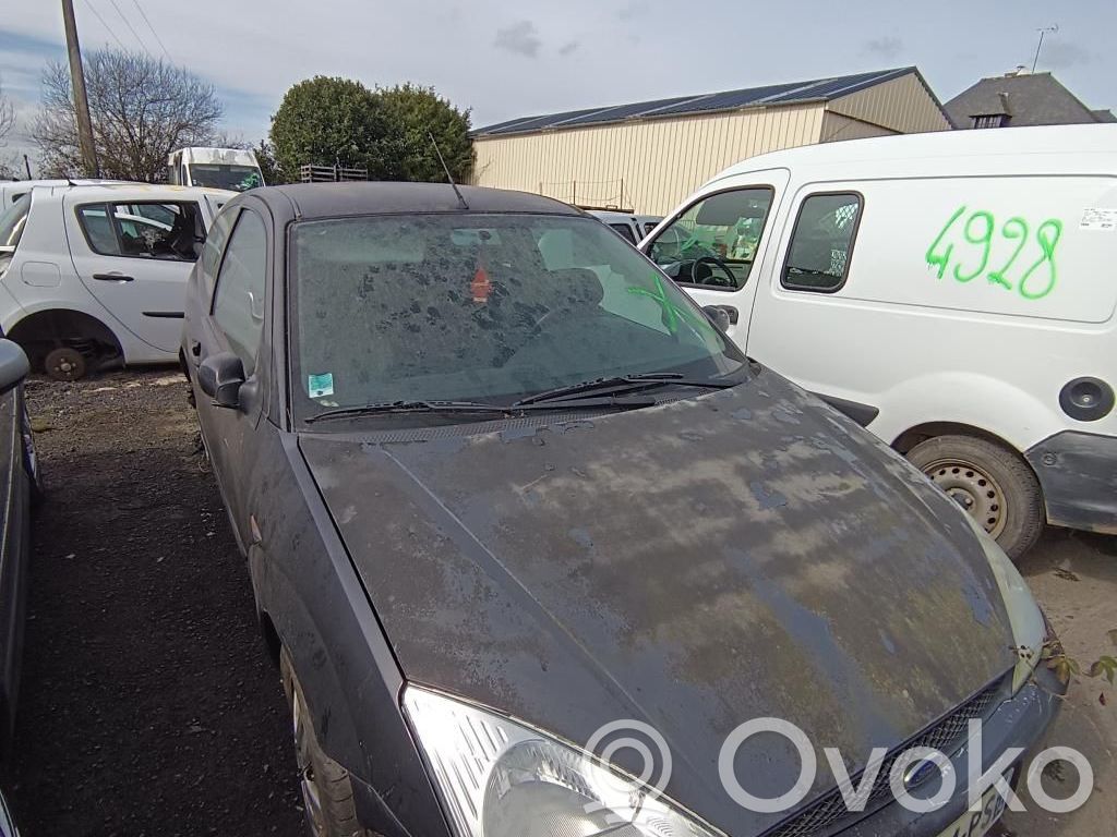 Focus Focus  1091483