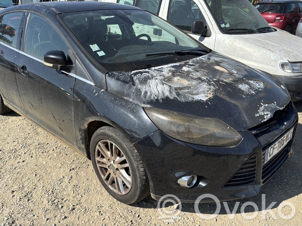 Focus Focus  1843314