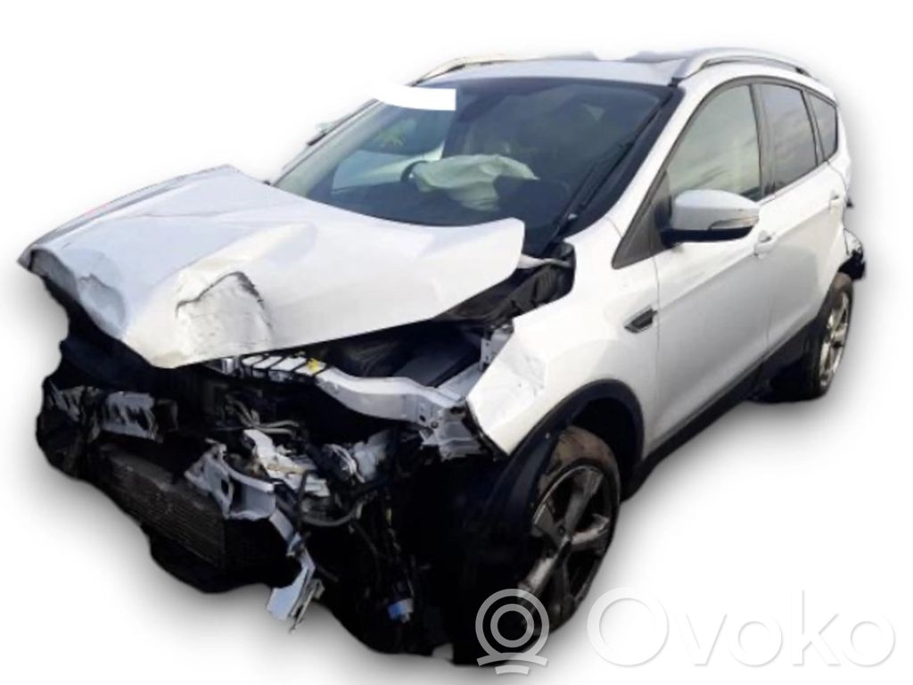 Kuga II Kuga  SANDD4856C