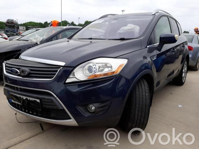 Kuga I Kuga  17A796AF