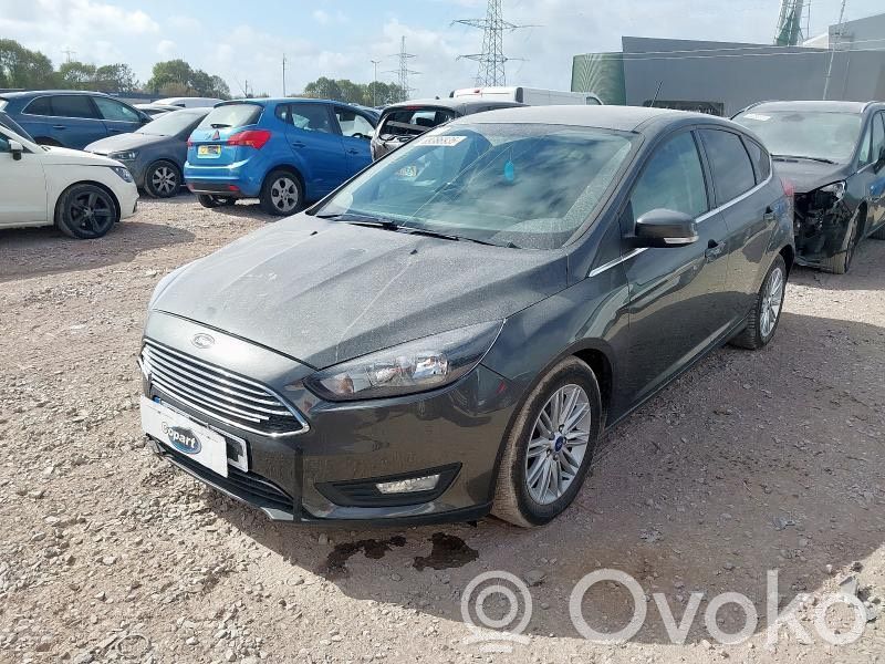 Focus Focus  100517