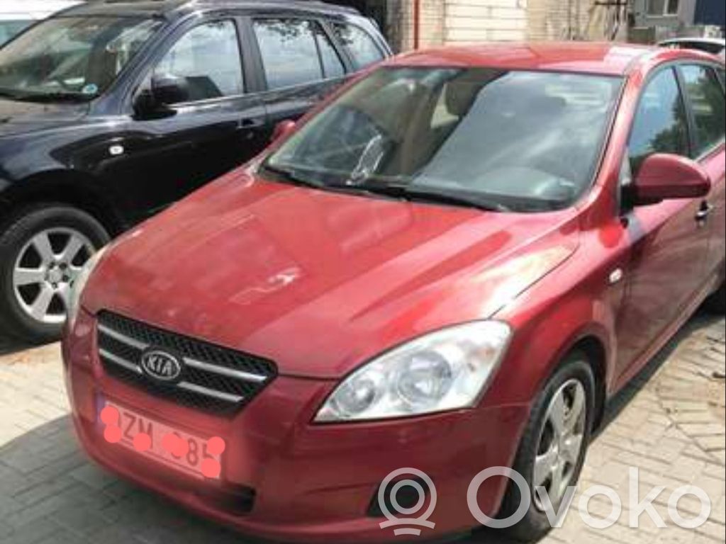 Ceed Ceed, Ceed SW, Pro Ceed  391802A200