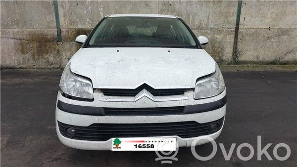 C4 I C4 Picasso, Grand Picasso, Aircross, Cactus  204051007