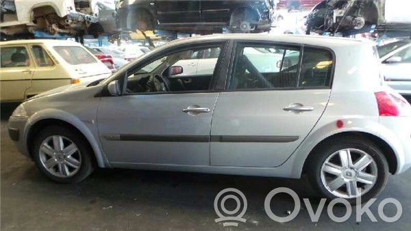 Megane II Megane  445110110B