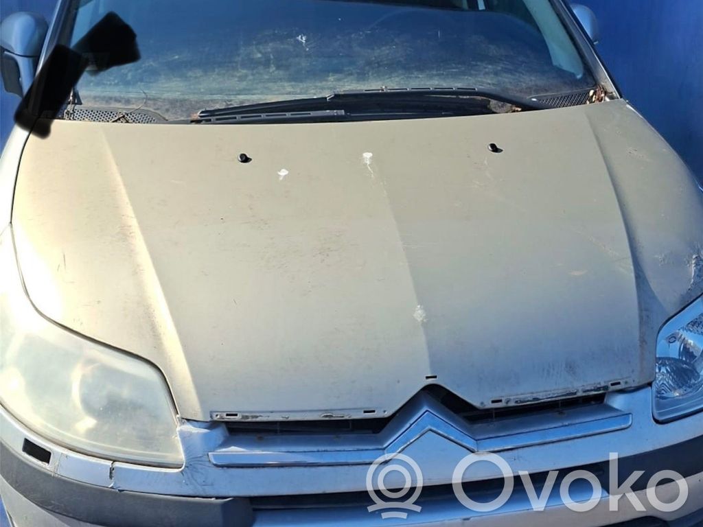 C4 I C4 Picasso, Grand Picasso, Aircross, Cactus  10FE01