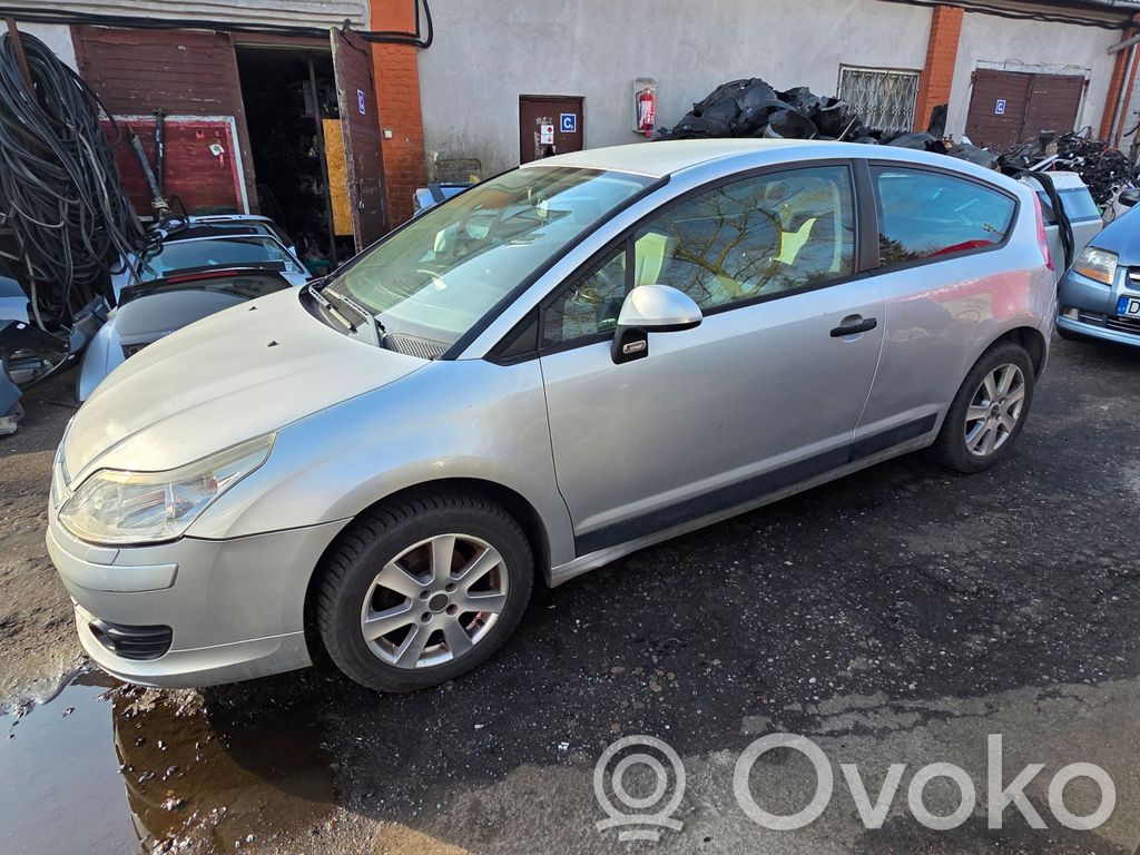 C4 I C4 Picasso, Grand Picasso, Aircross, Cactus  9650695477