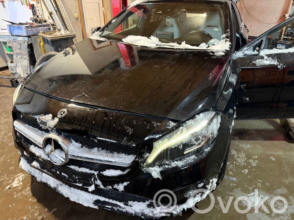 A W176 A-class  A24661003
