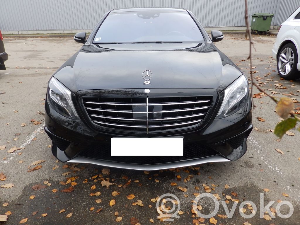 S W222 S-class, AMG (W126, W140, W220, W221, W222)  A2229000205