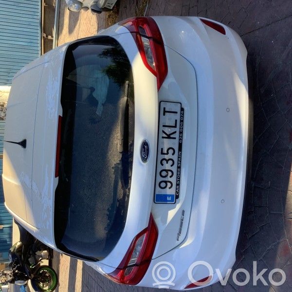 Fiesta Fiesta  H1BC5019