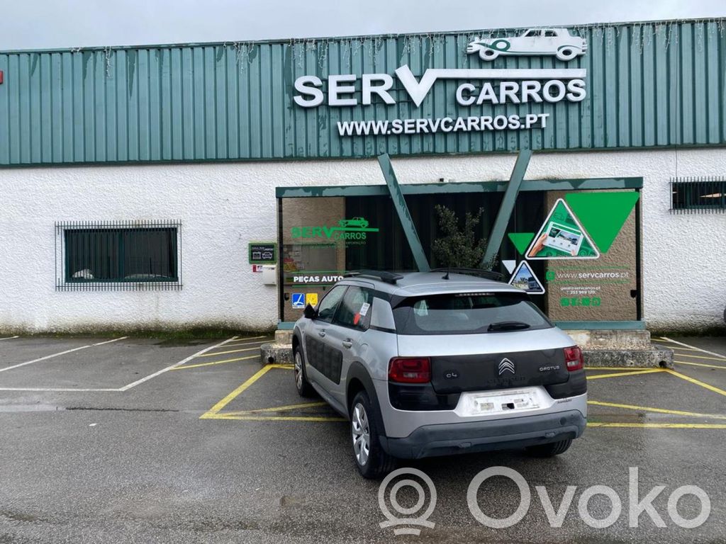 C4 Cactus C4 Picasso, Grand Picasso, Aircross, Cactus