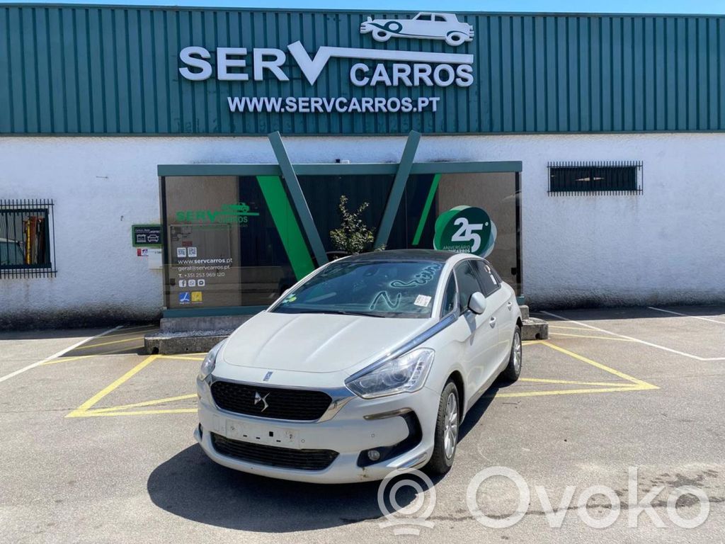 DS5 DS5