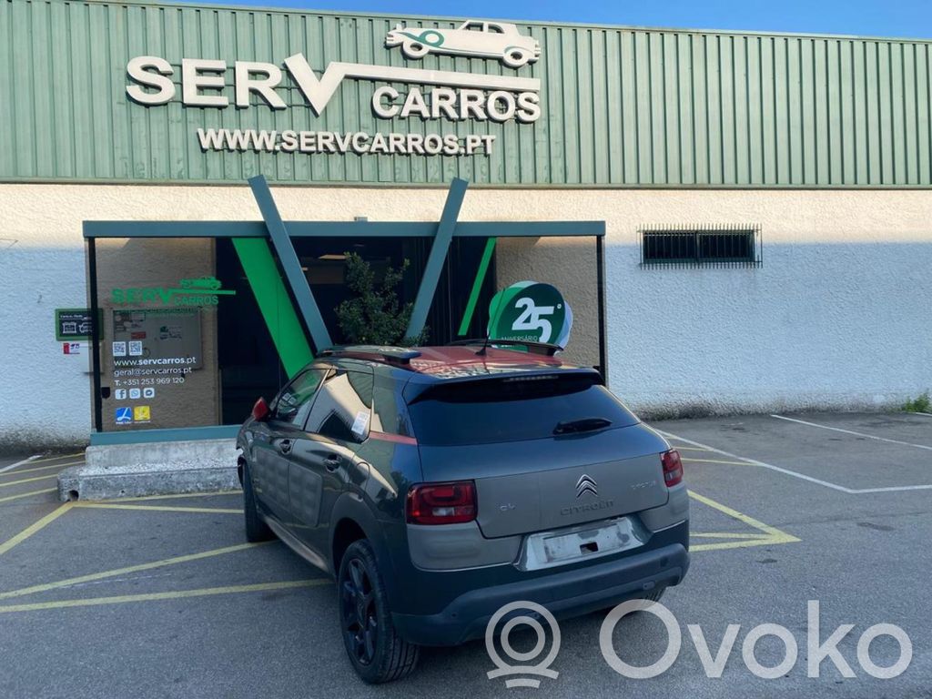 C4 Cactus C4 Picasso, Grand Picasso, Aircross, Cactus