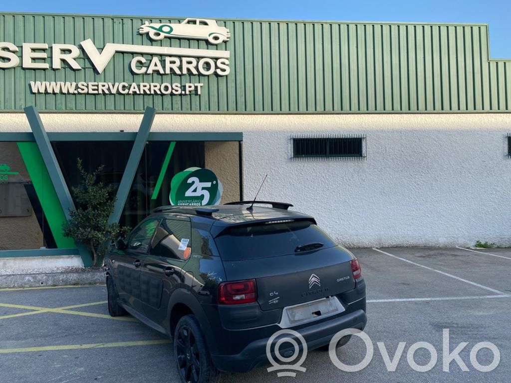 C4 Cactus C4 Picasso, Grand Picasso, Aircross, Cactus