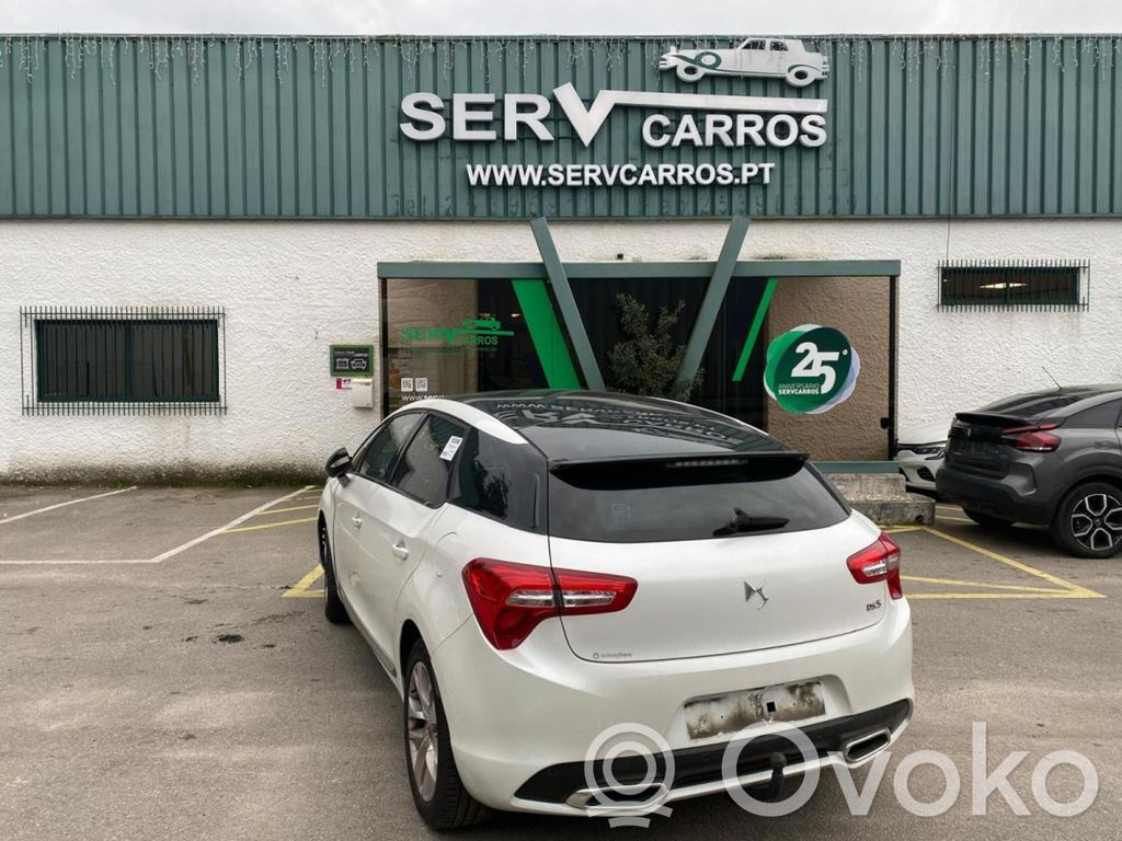 DS5 DS5