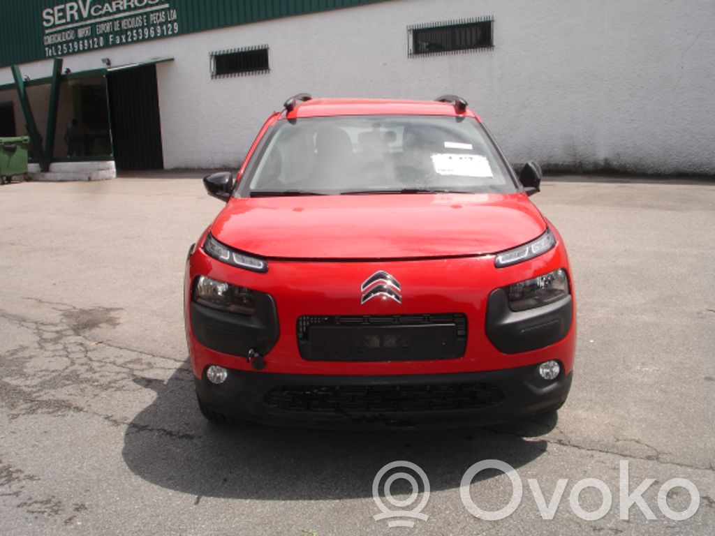 C4 Cactus C4 Picasso, Grand Picasso, Aircross, Cactus