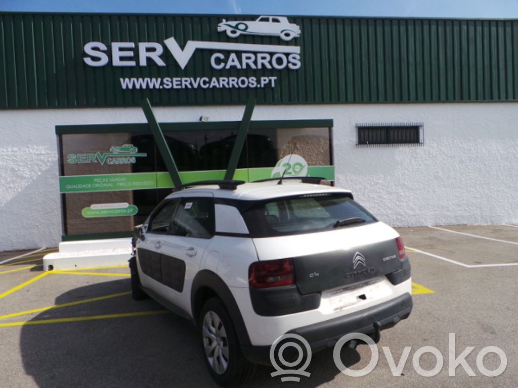 C4 Cactus C4 Picasso, Grand Picasso, Aircross, Cactus