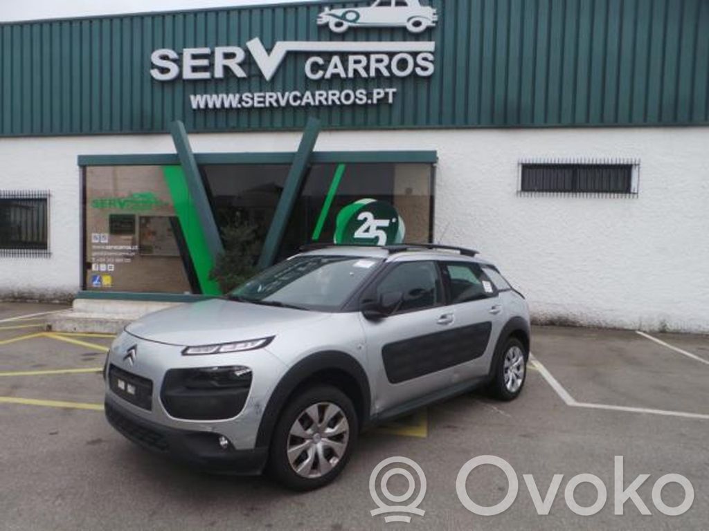C4 Cactus C4 Picasso, Grand Picasso, Aircross, Cactus