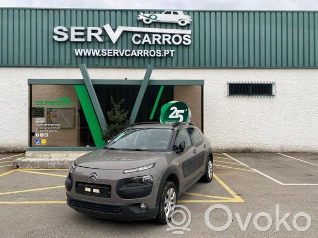 C4 Cactus C4 Picasso, Grand Picasso, Aircross, Cactus