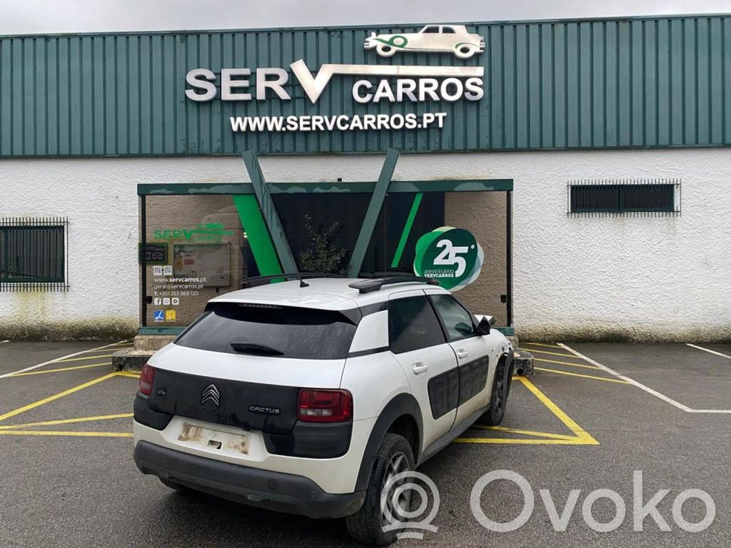 C4 Cactus C4 Picasso, Grand Picasso, Aircross, Cactus
