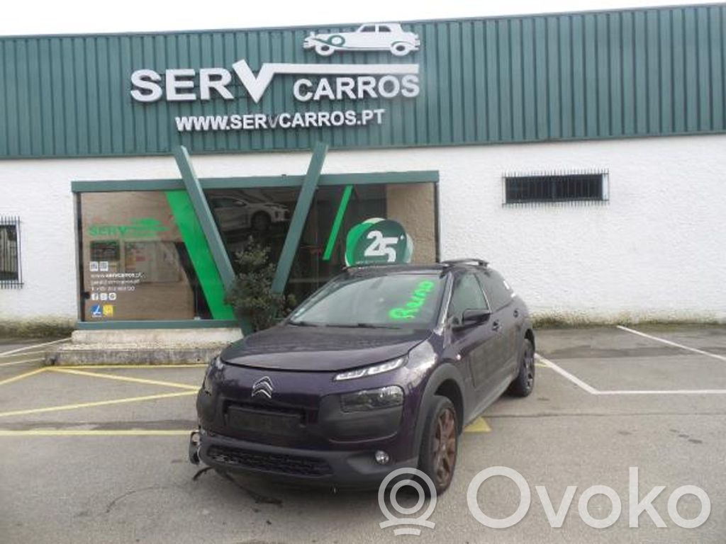 C4 Cactus C4 Picasso, Grand Picasso, Aircross, Cactus
