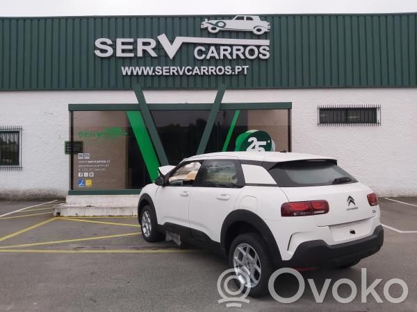 C4 Cactus C4 Picasso, Grand Picasso, Aircross, Cactus