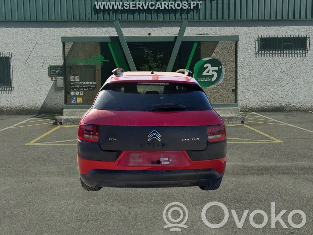 C4 Cactus C4 Picasso, Grand Picasso, Aircross, Cactus