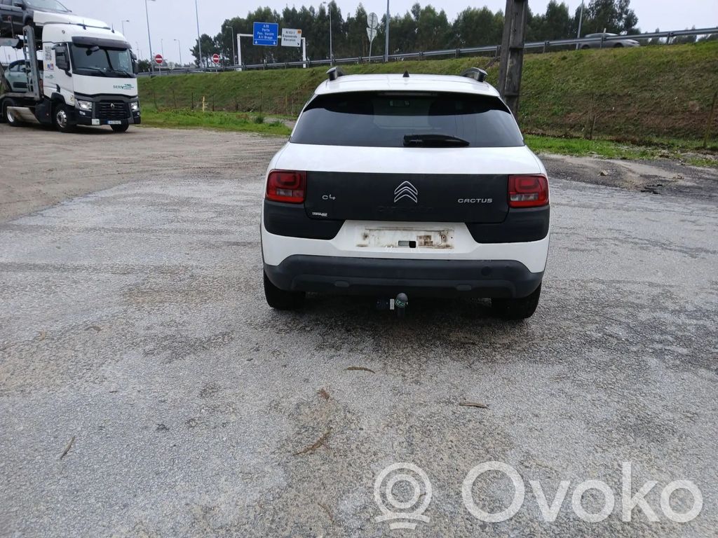 C4 Cactus C4 Picasso, Grand Picasso, Aircross, Cactus
