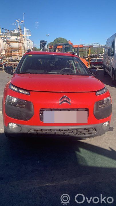 C4 Cactus C4 Picasso, Grand Picasso, Aircross, Cactus  9800901280
