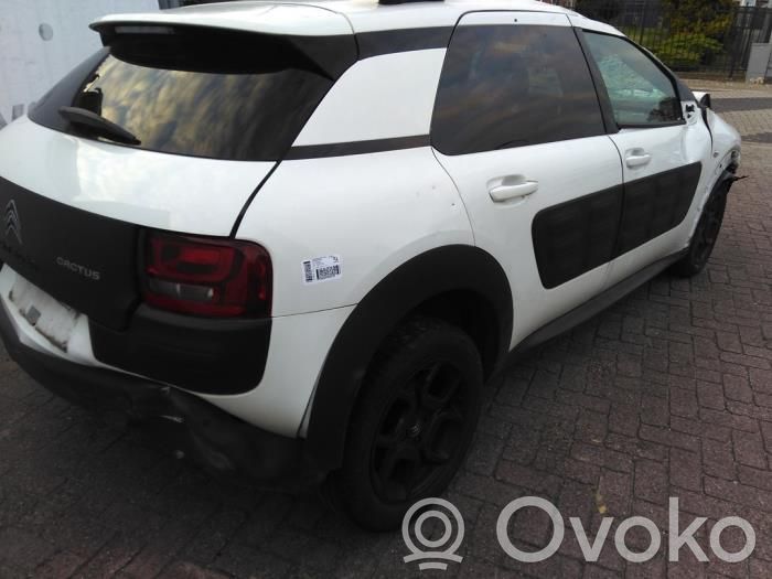 C4 Cactus C4 Picasso, Grand Picasso, Aircross, Cactus  1628950280