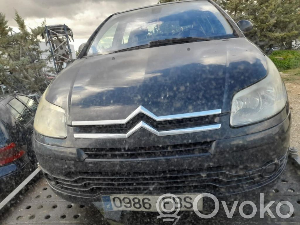 C4 I C4 Picasso, Grand Picasso, Aircross, Cactus  5WS40341CT