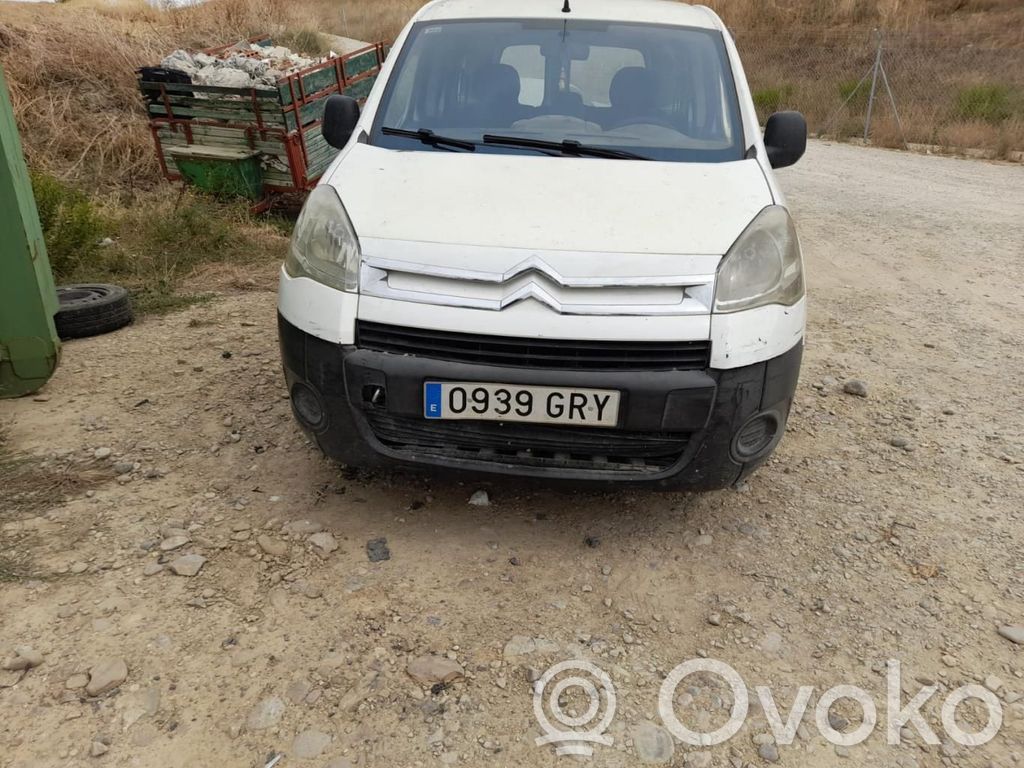 Berlingo Berlingo  8EA011610181