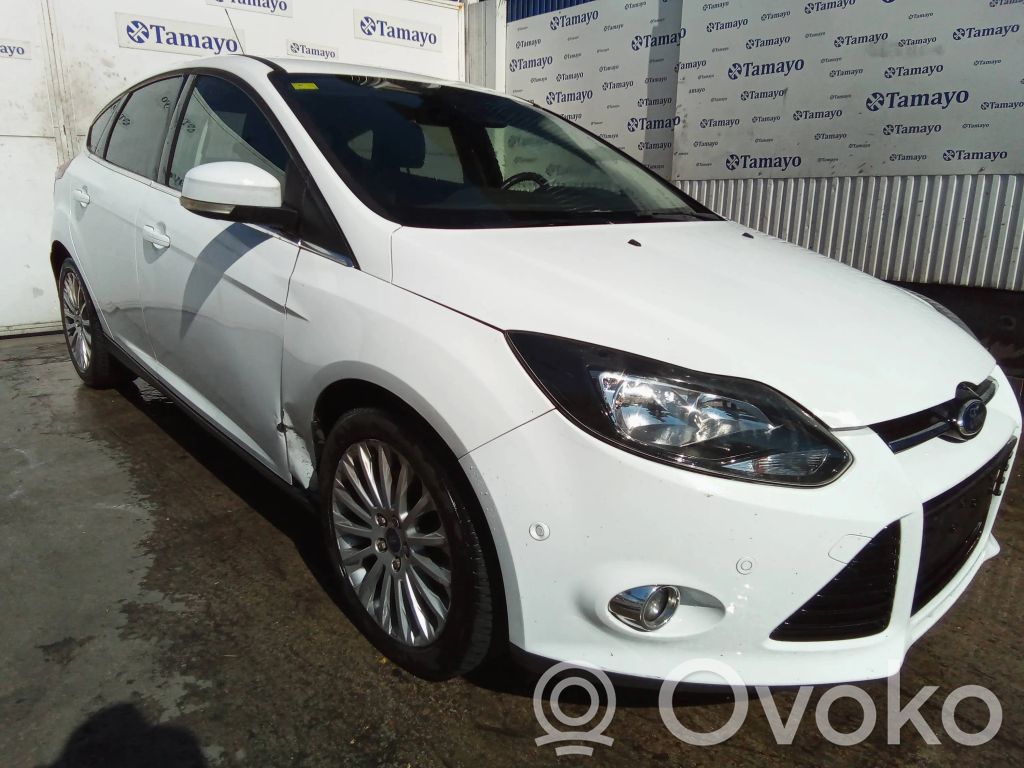 Focus Focus  AV613A424PA