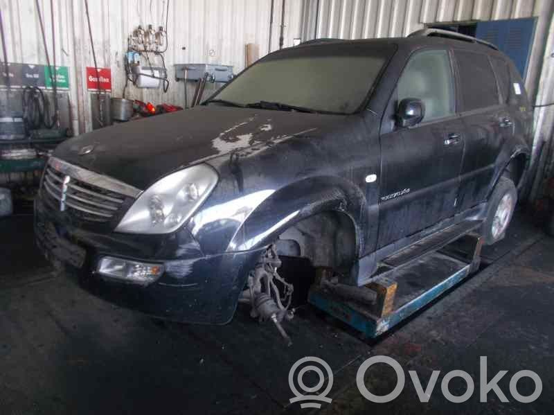 Rexton Rexton