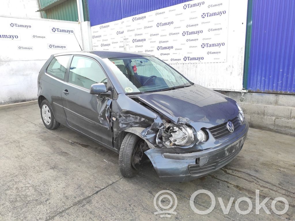 Polo Polo  036906034DD
