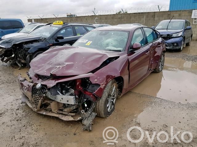 Giulia Giulia  50541422