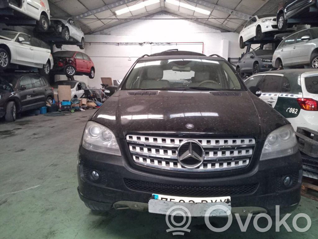 ML W164 ML-class, AMG (W163, W164, W166)  8340F